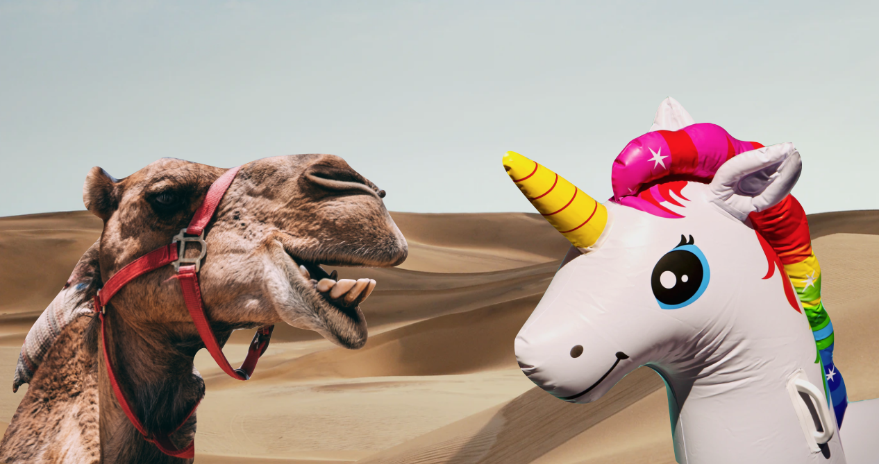 Why I Would Rather be a Camel than a Unicorn